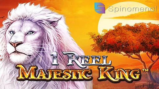 1 Reel Majestic
