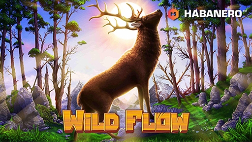 Play online Casino Wild Flow