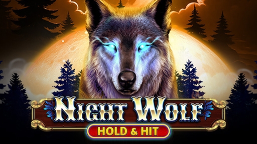 Casino Slots Night Wolf Hold and Hit