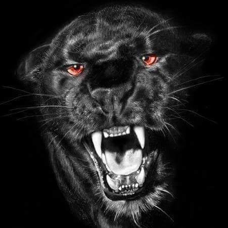 Marcoi85's avatar