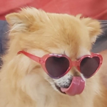 bjay23's avatar