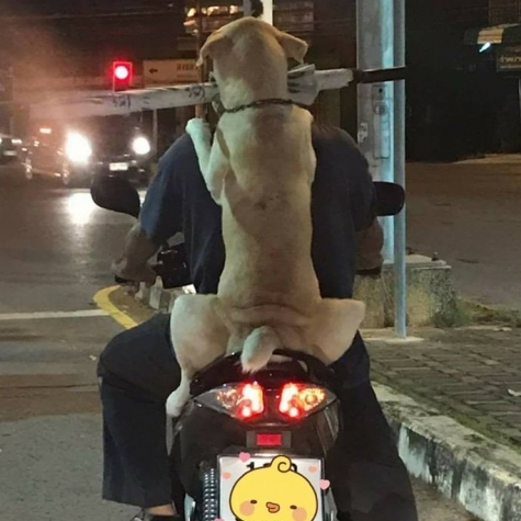 Mr_Strap's avatar