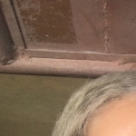 Marcopaulo0724's avatar