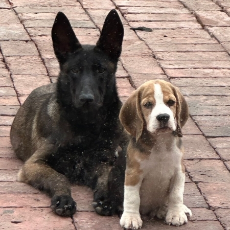 Jrpelucon's avatar
