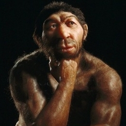 Pedor's avatar
